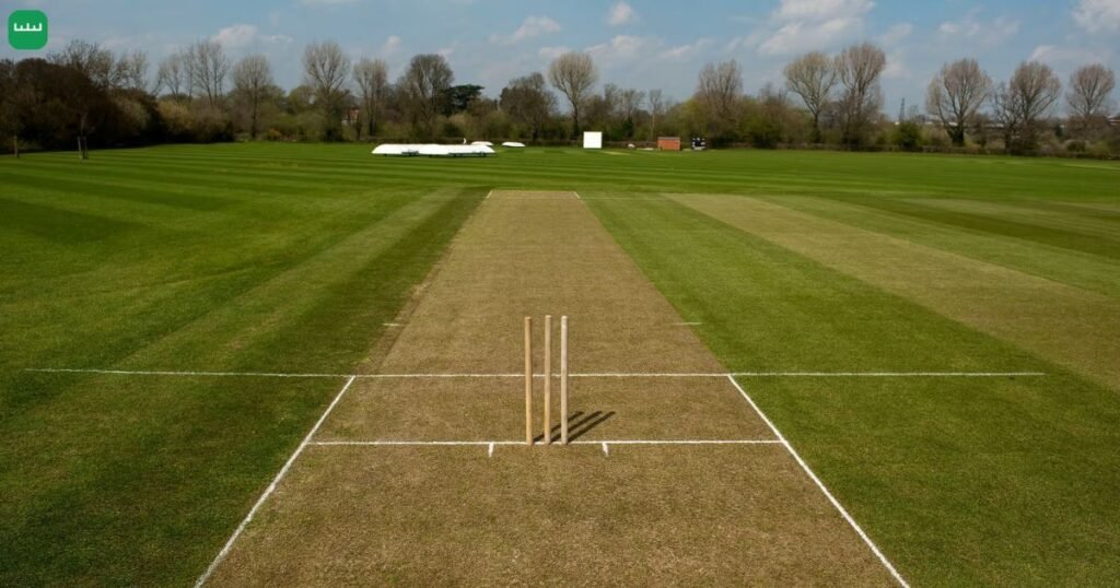 1.5 Cricket Pitches
