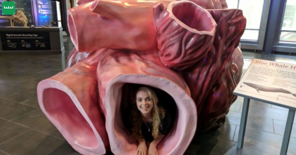 20 Blue Whale Hearts
